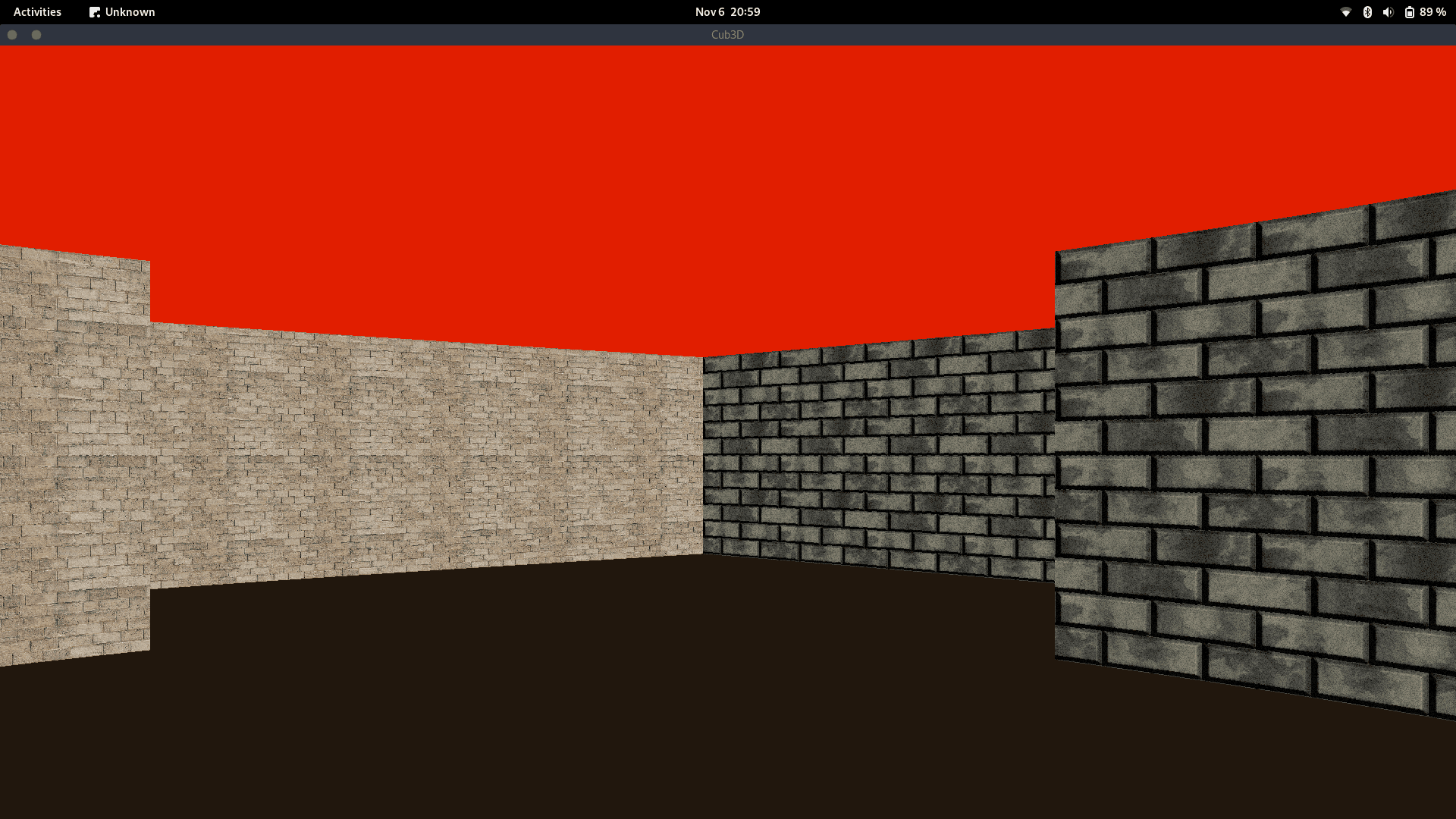 cub3D project view 1